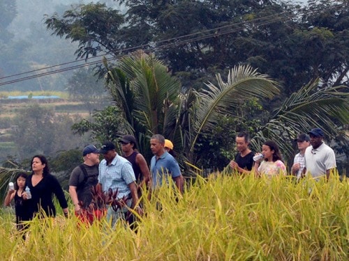 惊人的JATILUWIH水稻梯田：美姿与巴厘岛的当地天才