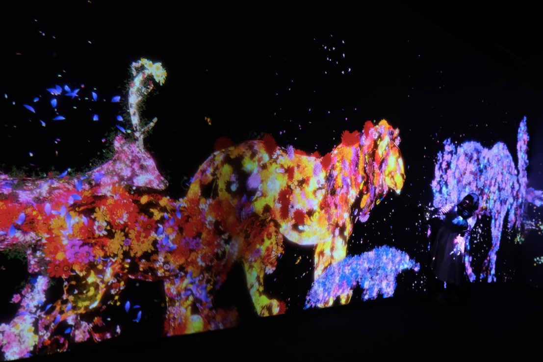 TeamLab Future Park Installation, Enjoy the Digital Art Gallery Experience
