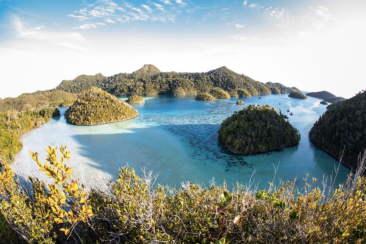 The Ultimate Pristine Paradise in West Papua