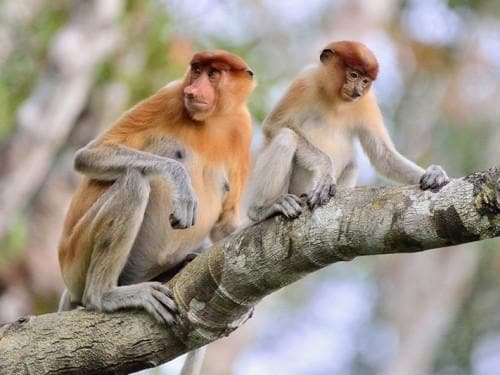 ７个在马辰必去的精彩地方