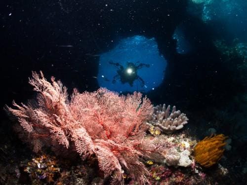 拉贾阿帕特WAYAG岛：当今世界级旅行目的地的专业首选